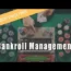 Gambling 101: Mastering Bankroll Management